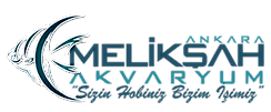 Melikşah Akvaryum İmalatı Ankara